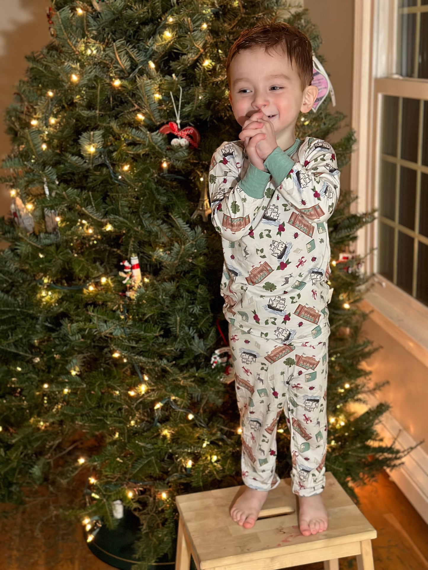 New England Baby Massachusetts Bamboo Pajamas